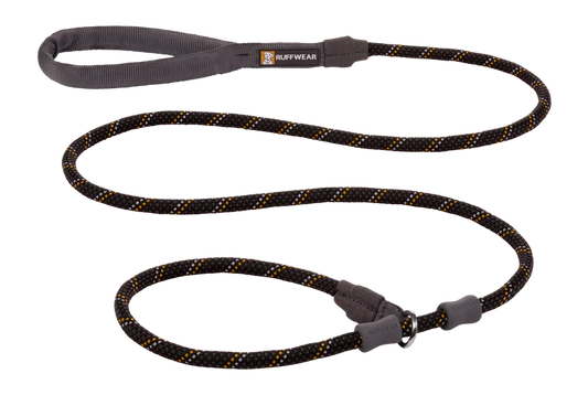 Just-a-Cinch™ Dog Slip Lead