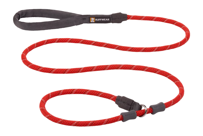 Just-a-Cinch™ Dog Slip Lead