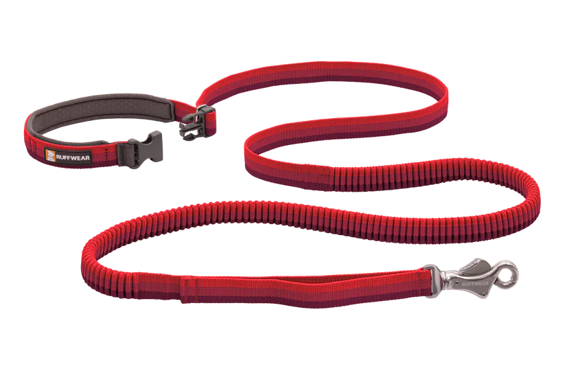 Roamer™ Bungee Dog Running Lead