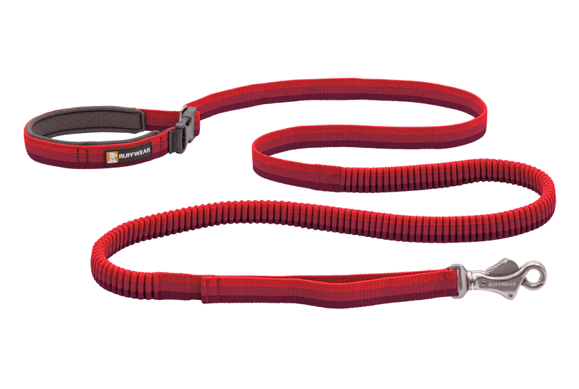 Roamer™ Bungee Dog Running Lead