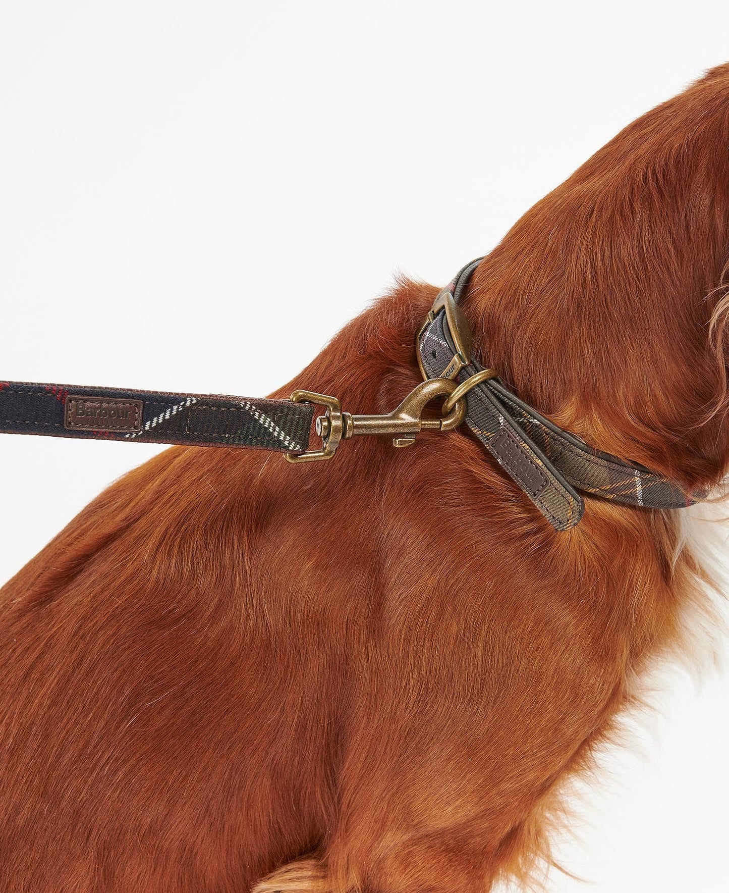 Tartan Dog Lead - Classic Tartan