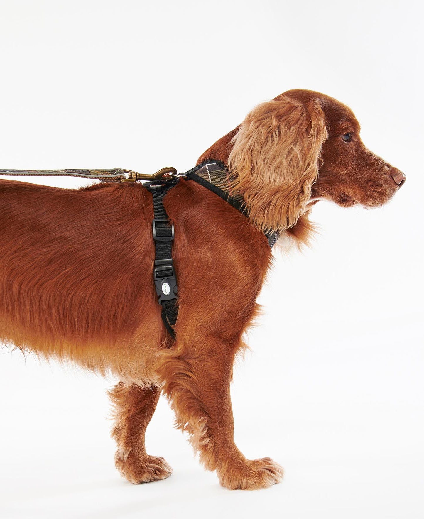 Classic Tartan Dog Harness