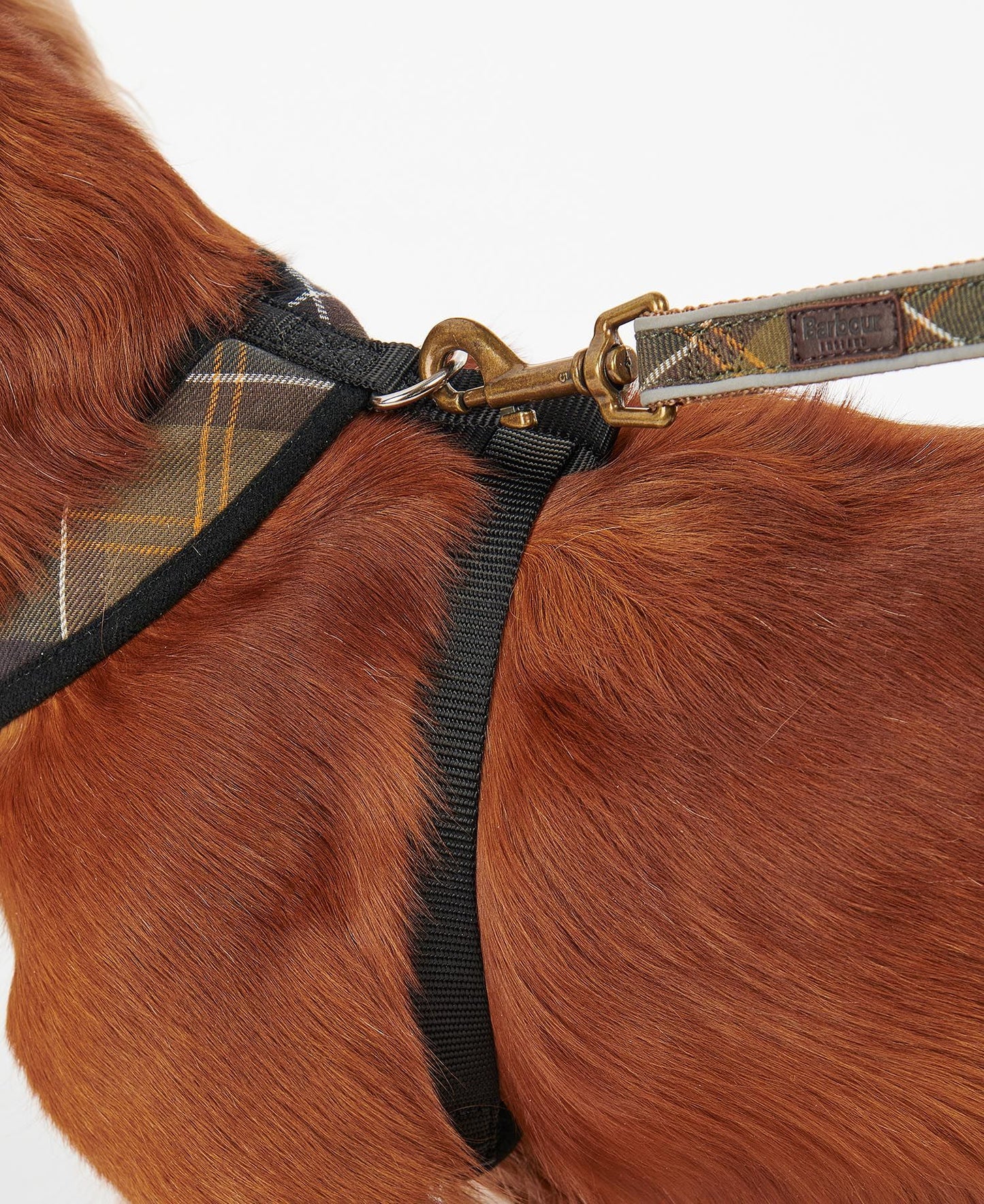 Classic Tartan Dog Harness