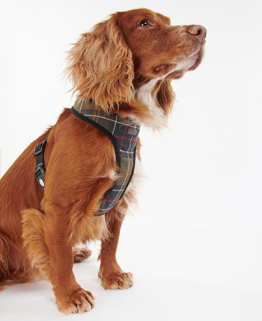 Classic Tartan Dog Harness