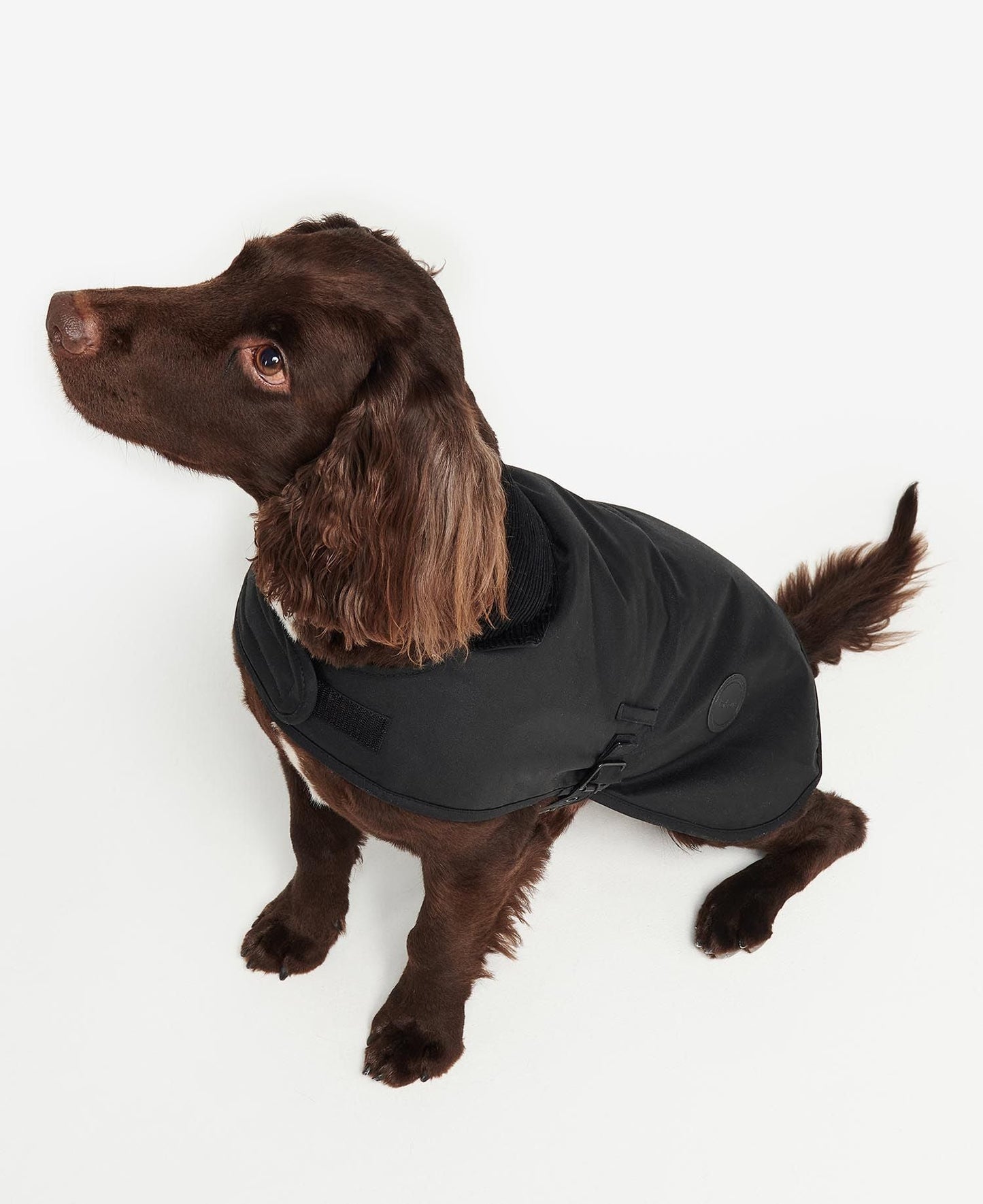 Wax Dog Coat - Black