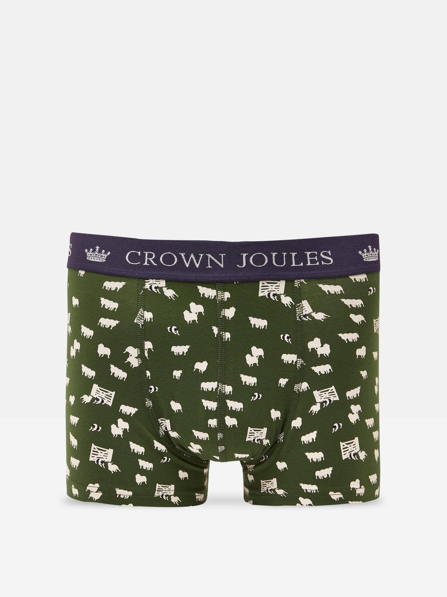 Crown Joules Green/Navy Pack of Two Cotton Briefs